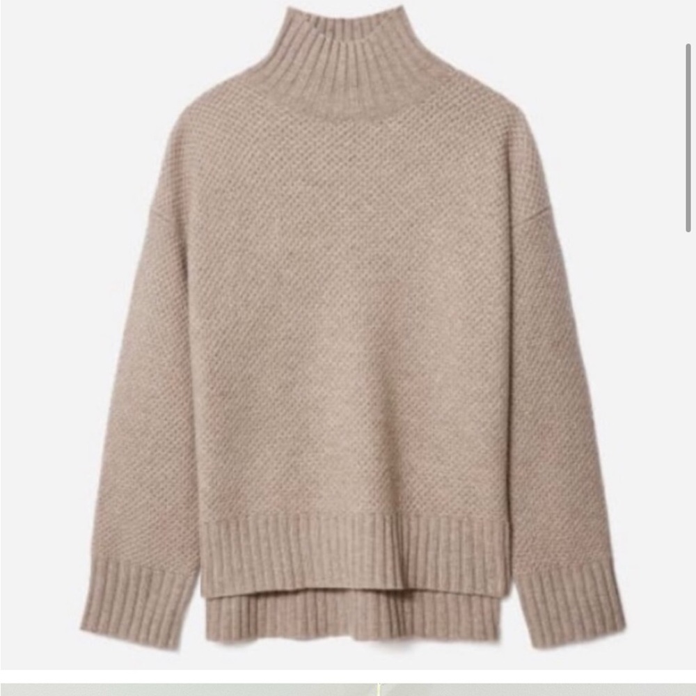 Everlane recashmere stroopwafer turtleneck sweater